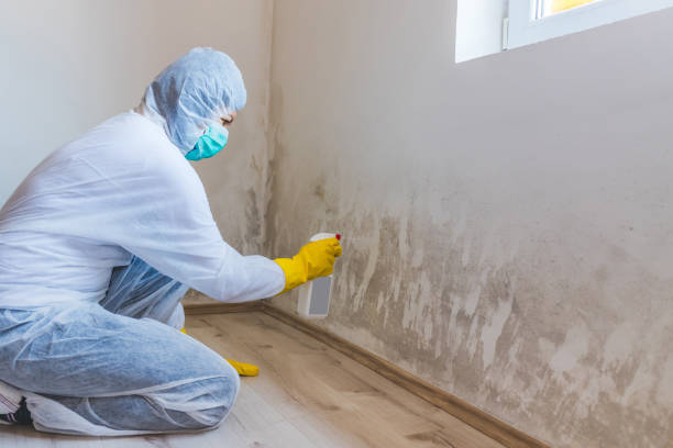 Best Attic Mold Removal  in Marshallville, GA