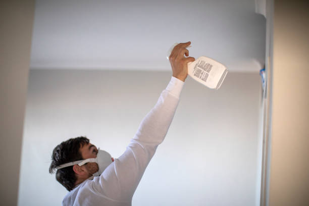 Best Office Mold Removal Services  in Marshallville, GA