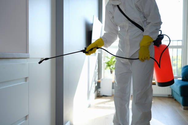 Best Water Damage Restoration  in Marshallville, GA