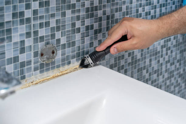 Best Professional Mold Removal  in Marshallville, GA