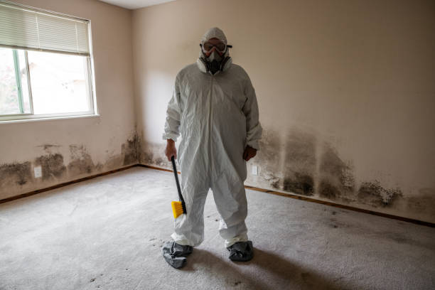 Best Mold Cleaning Services  in Marshallville, GA