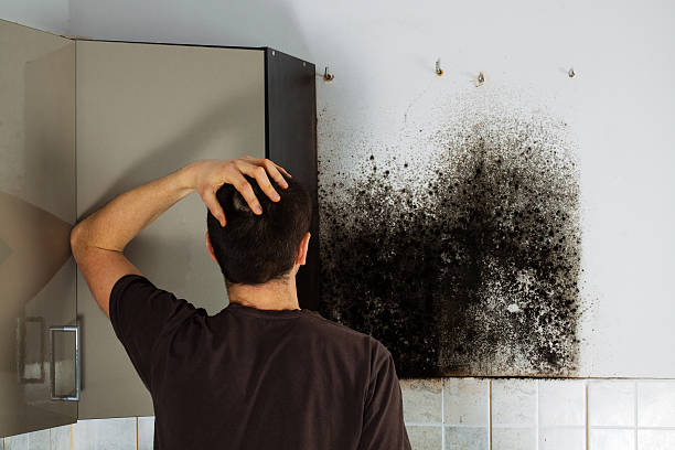 Best Home Mold Removal  in Marshallville, GA